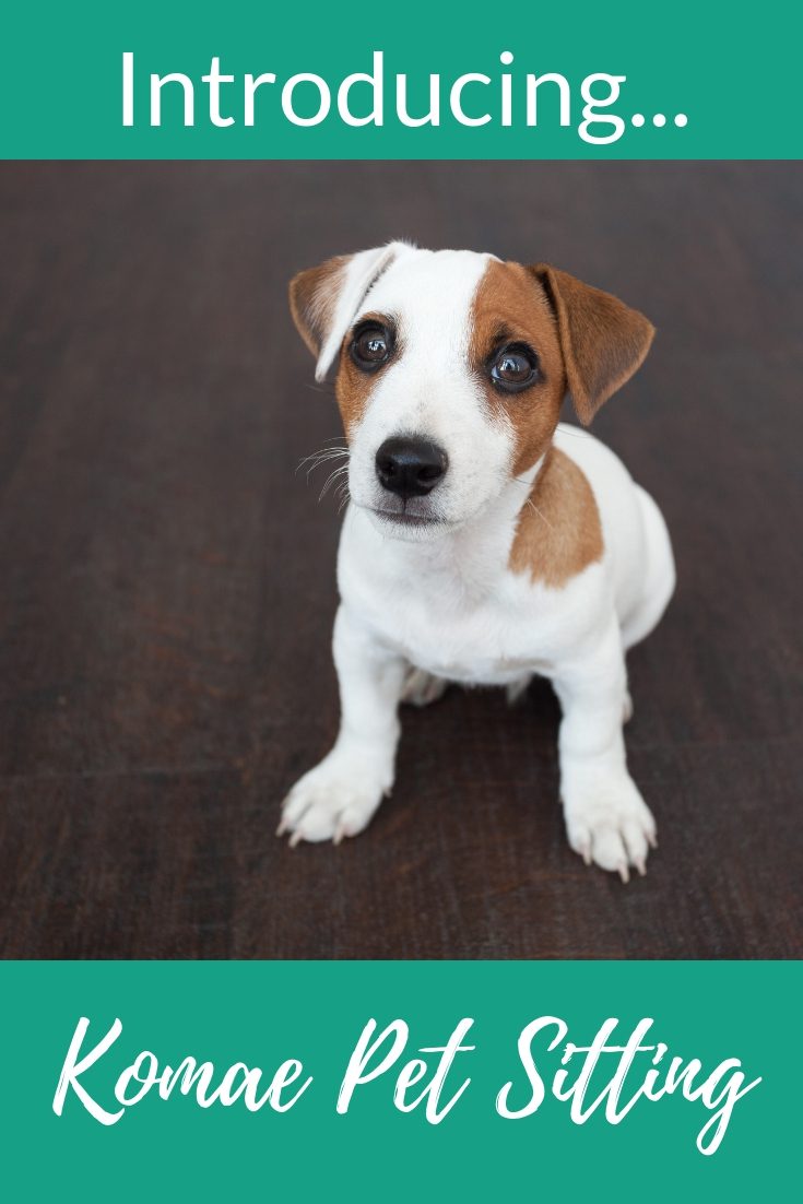 a white and brown puppy, text image 'Introducing Komae Pet Sitting'