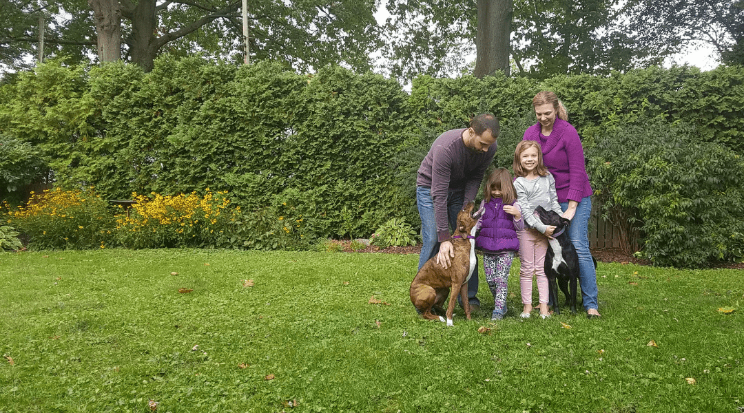 a family of four petting their brown and black dogs
