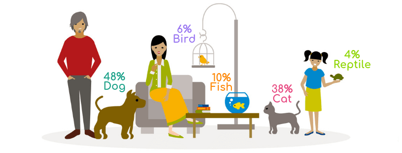 image of 3 animated people holding different animals showing the percent of pets in households