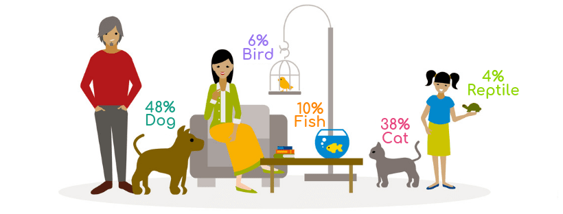 Pet Sitting Stats