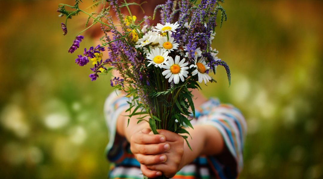 a little boy holding a bouquet of picked wildflowers