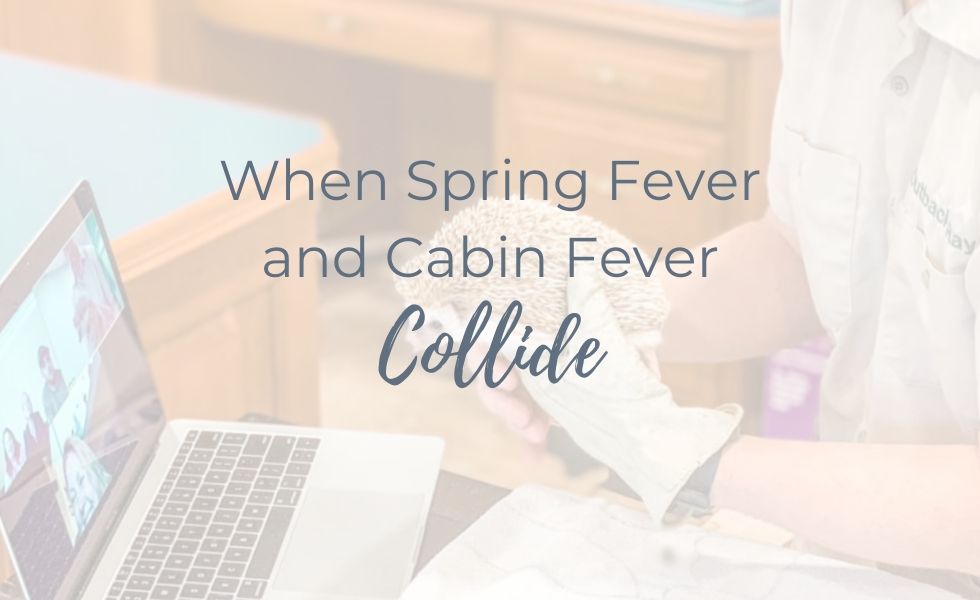 image of word text 'when spring fever and cabin fever collide'