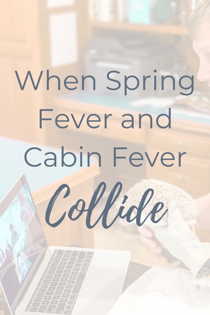 image of word text 'when spring fever and cabin fever collide'