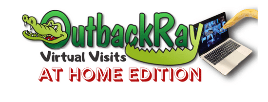 image of Outback Ray's logo